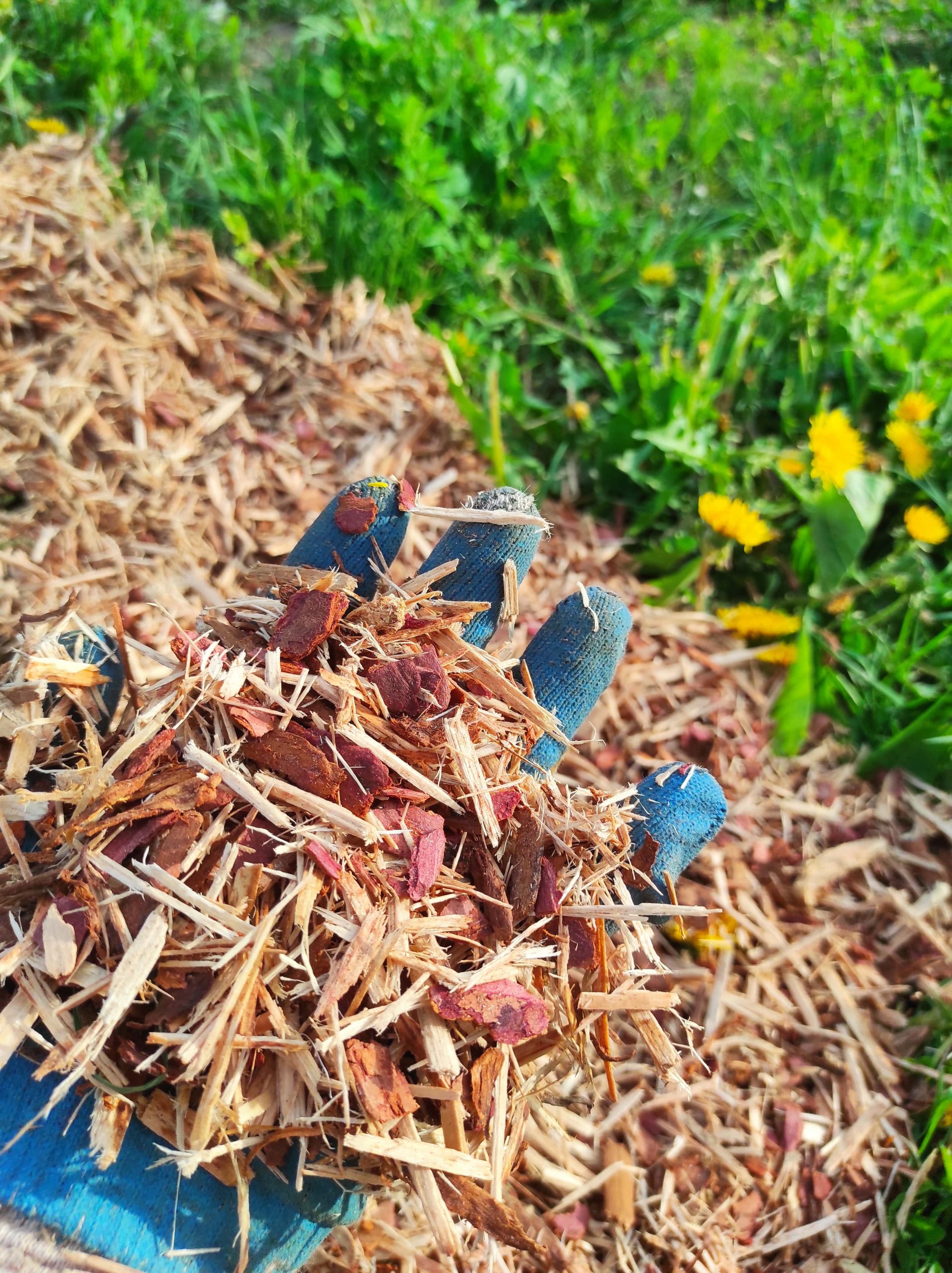 Щепа с корой лиственницы “Кора-луб” | Мульча. Кора лиственницы ...